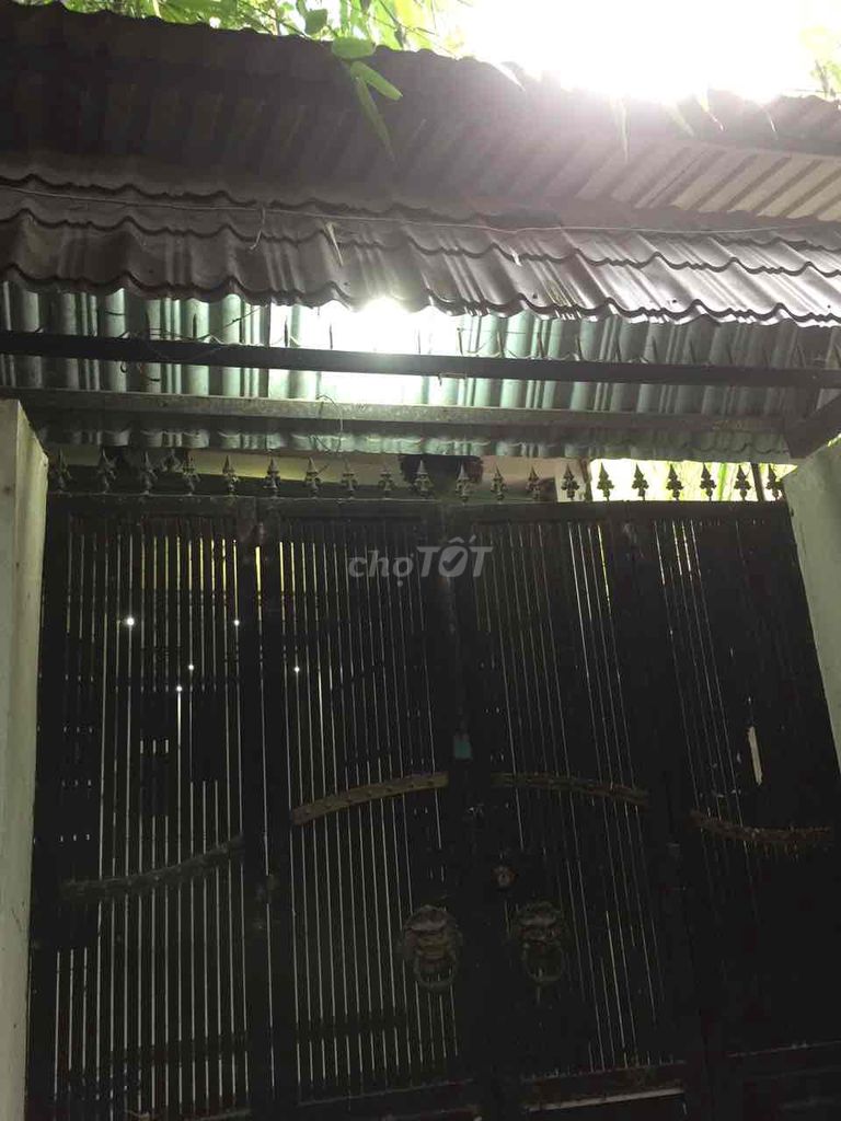 chính chut cần bán gấp