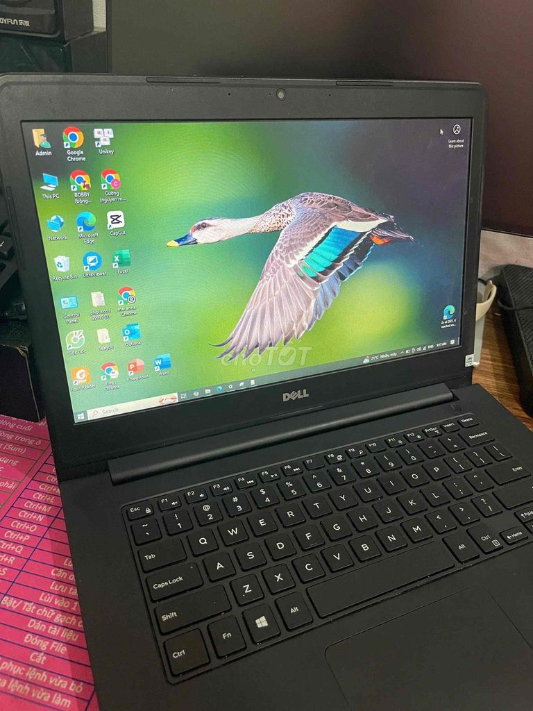 Dell Laptop màu Đen. Mua bán Laptop tại Huyện Nga Sơn Thanh Hóa được đăng bởi Erik Cường hình 1