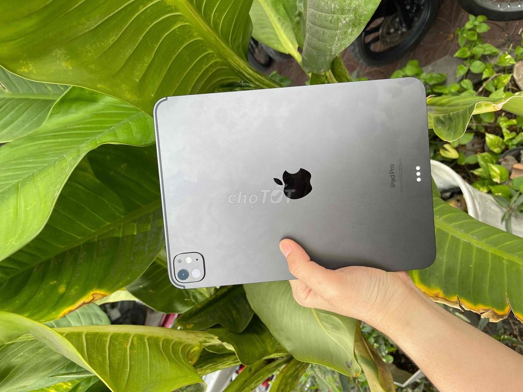 IPad Pro M4 256GB Wifi Pin 100 sạc 18L Bh 9/2025