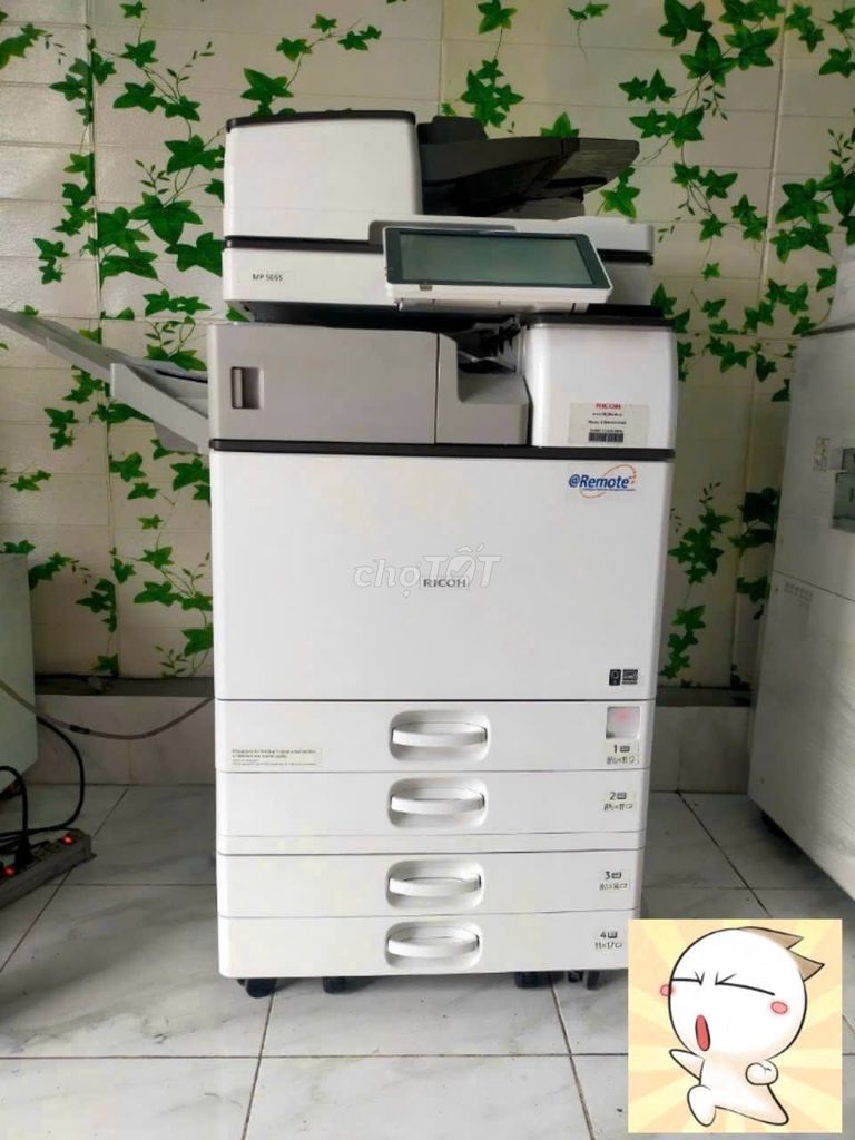 Máy photocopy Ricoh 5055 kho (điện 110v)