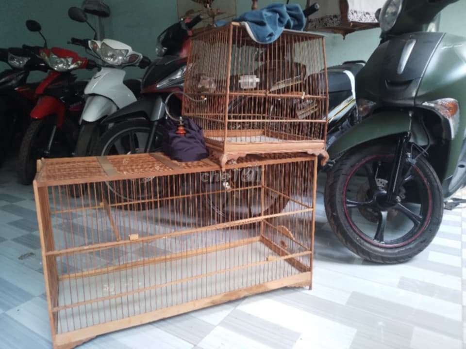 Lồng chim Gỗ tre 80cm. Mua bán Phụ kiện, Thức ăn, Dịch vụ tại Thị xã Bến Cát Bình Dương được đăng bởi tiền hình 1