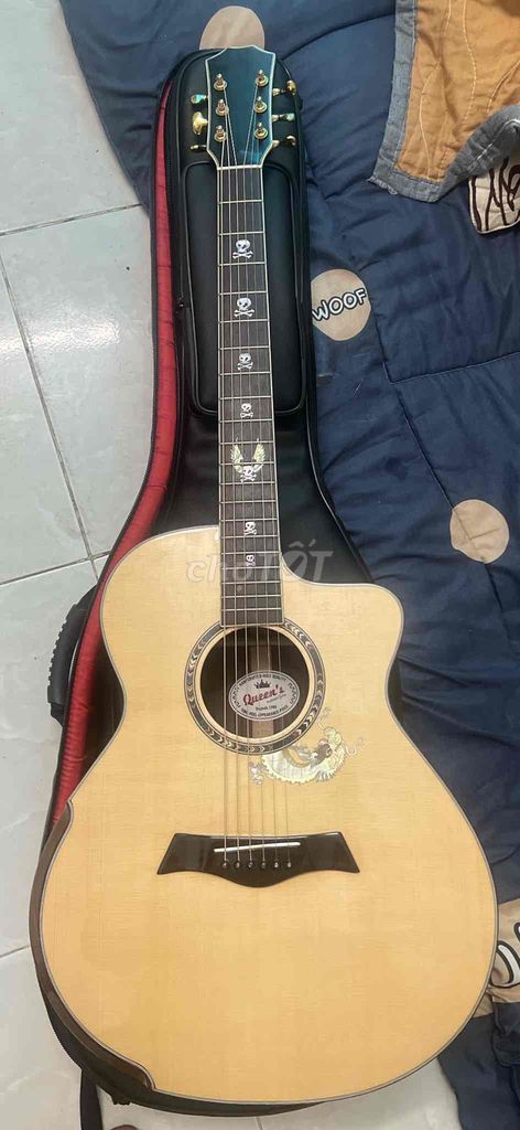 đàn guitar Queen’s AC 608 vip