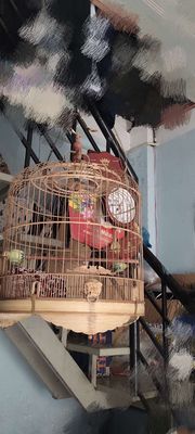 Bộ Lồng 72 Đủ Phụ kiện. Mua bán Chim tại Quận Gò Vấp Tp Hồ Chí Minh được đăng bởi Bếp Gas Giá Sỉ