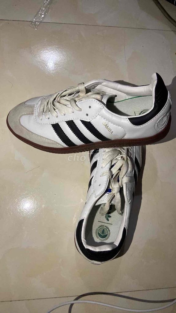 pass giày adidas samba mua 550k mới đi 3 lần