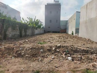 Cho thuê đất 300 m2 gần chợ An Thới 5 triệu