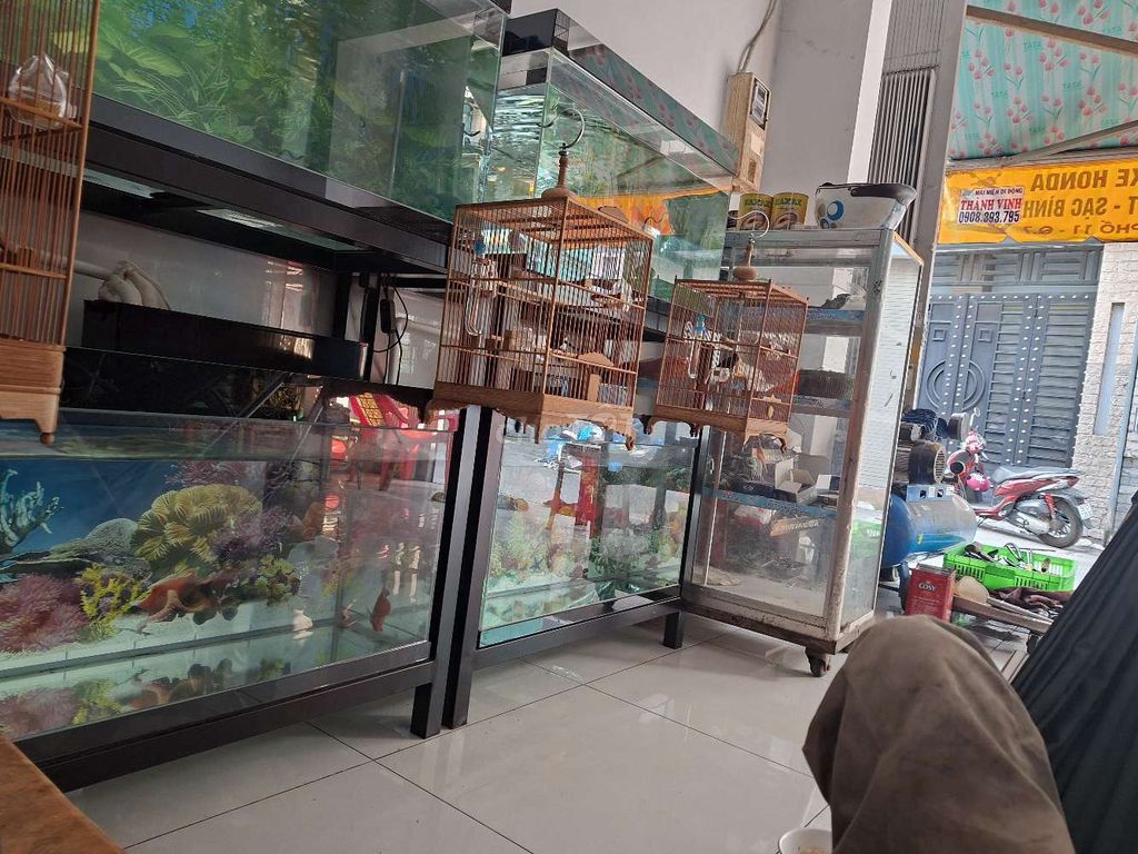 Lồng chim hút mật 7 bộ. Mua bán Chim tại Quận 7 Tp Hồ Chí Minh được đăng bởi Đệ Nguyễn hình 1