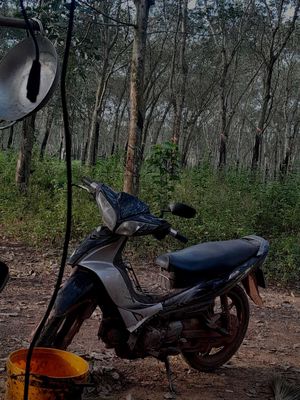 Jupiter đời208 xe đang chạy kẹt tiền bán. Mua bán Xe máy tại Huyện Phú Giáo Bình Dương được đăng bởi Hiệp Ab