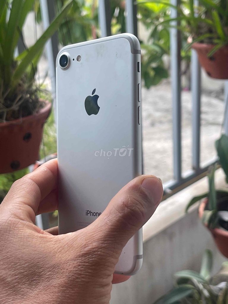 iPhone 7 Bạc Đã sử dụng. Mua bán Điện thoại tại Huyện Tiền Hải Thái Bình được đăng bởi Hồ Thị hình 1