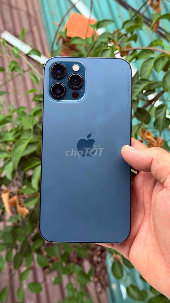 iPhone 12 Pro Max 512 GB zin full ios 16.3.1. Mua bán Điện thoại tại Thành phố Buôn Ma Thuột Đắk Lắk được đăng bởi Quang hình 1