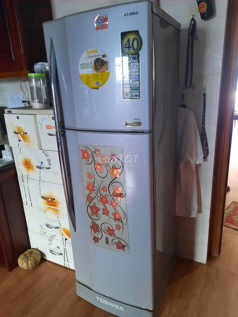Tủ lạnh Toshiba GR-Y25VPD 228L. Mua bán Tủ lạnh tại Thành phố Cà Mau Cà Mau được đăng bởi Vũ hình 1