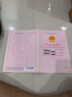 Đất trồng cây lâu năm chính chủ. Mua bán đất tại Huyện Bến Cầu Tây Ninh được đăng bởi Minh Tri Nguyen