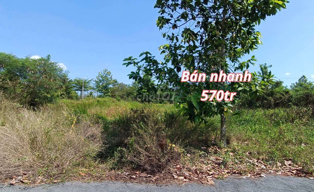 BÁN NỀN VẠN PHÁT BÁN NỀN ĐS11 VẠN PHÁT SÔNG HẬU - 580TRIỆU - 80m2