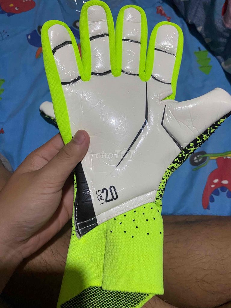 Găng tay thủ môn Adidas Predator Nam. Mua bán Đồ thể thao, Dã ngoại tại Quận 5 Tp Hồ Chí Minh được đăng bởi Cảnhh Nguyênn hình 1