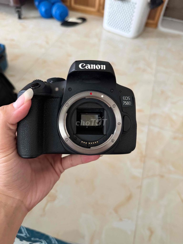 Máy ảnh Canon 750D Đen Đã sử dụng. Mua bán Máy ảnh, Máy quay tại Thành phố Long Xuyên An Giang được đăng bởi Lê Đức Trọng hình 1