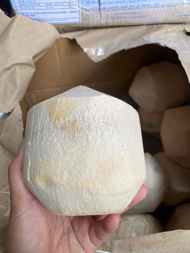 Dừa Xiêm Bến Tre. Mua bán Đồ ăn, thực phẩm và các loại khác tại Quận Gò Vấp Tp Hồ Chí Minh được đăng bởi Jolie hình 1