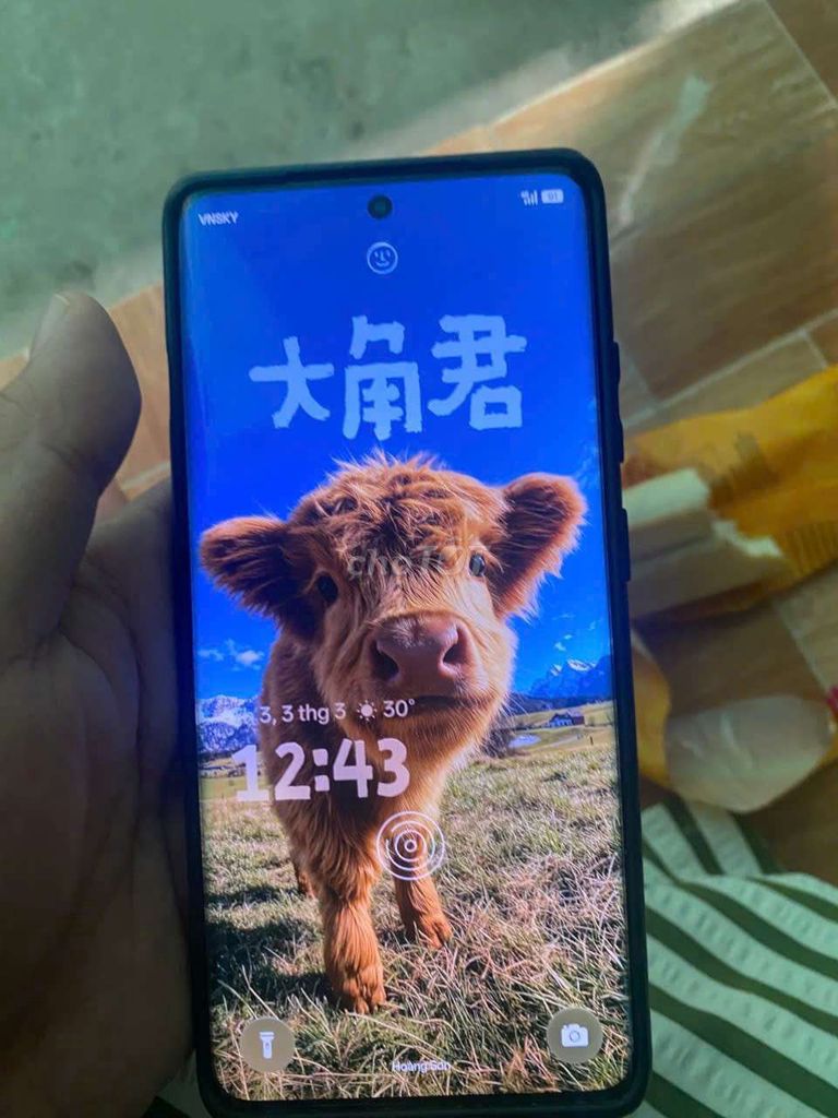 one plus ace 3. Mua bán Điện thoại tại Thành phố Phú Quốc Kiên Giang được đăng bởi Bò Sữa hình 1