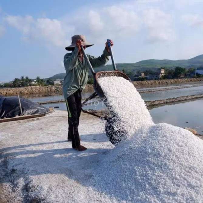 Muối hột tự nhiên bao 50kg