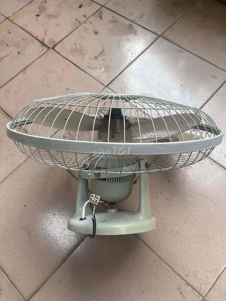 Quạt cây đã sử dụng 90%. Mua bán Quạt tại Quận Tây Hồ Hà Nội được đăng bởi Anh Khải hình 1