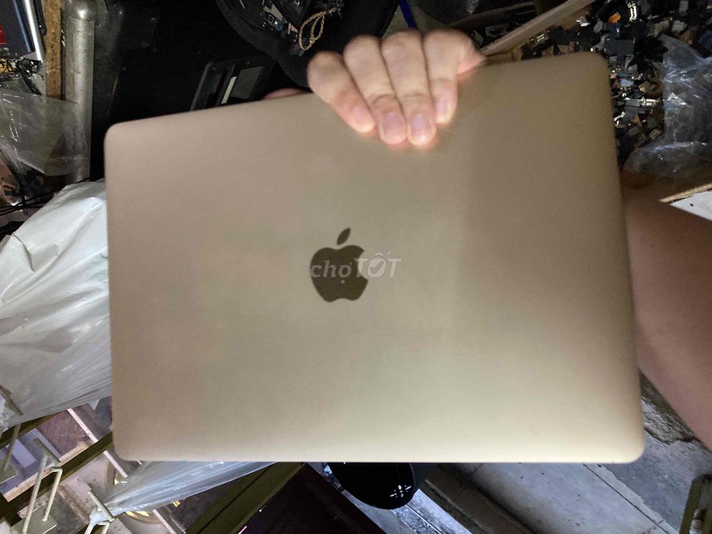 Màn hình macbook 12 inch full gold màu vàng
