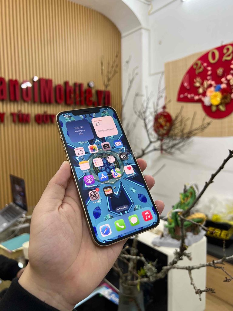 iPhone 12 Pro Max QTE 256G.Main Zin Màn Gx Full CN