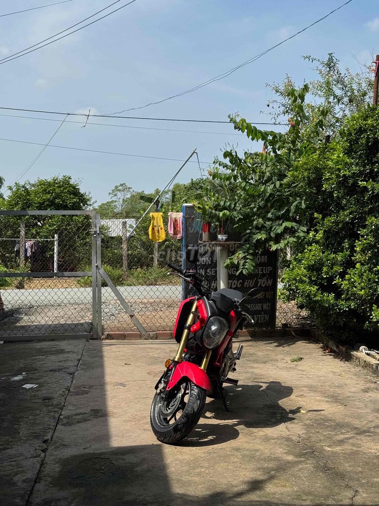 Honda MSX 125 2016 Đỏ. Mua bán Xe máy tại Quận 10 Tp Hồ Chí Minh được đăng bởi Ngananh hình 1