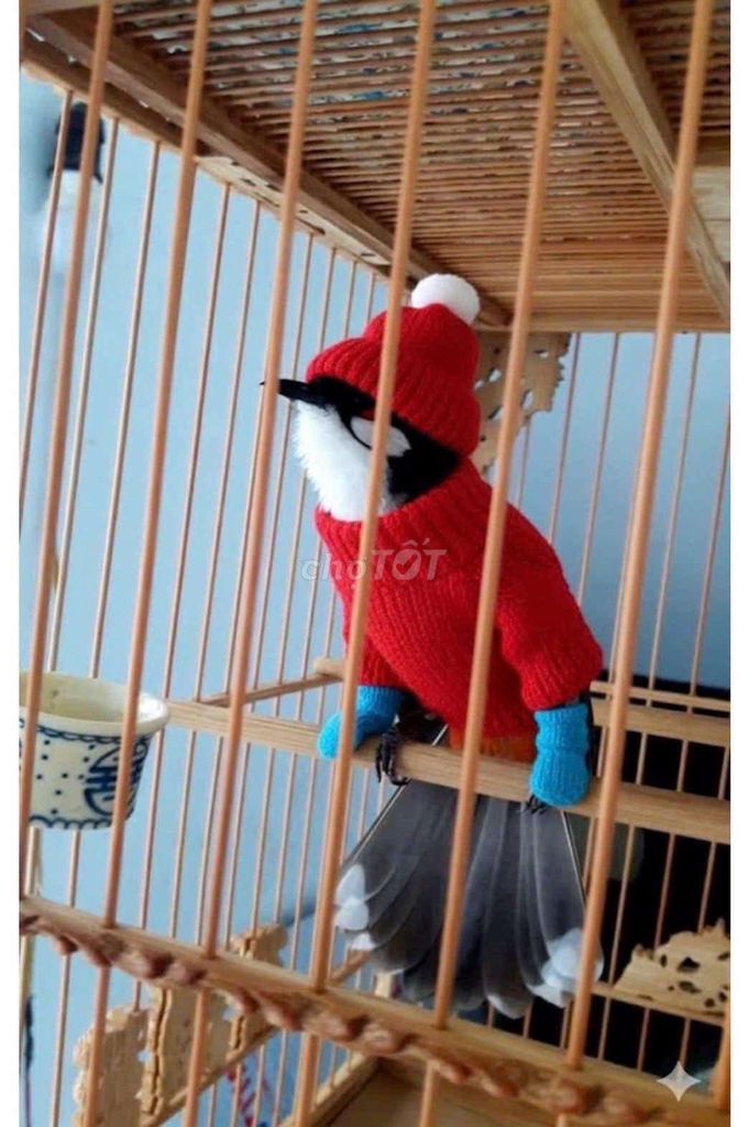 Lồng vuông đấu tre già nguyên zin. Mua bán Phụ kiện, Thức ăn, Dịch vụ tại Quận 6 Tp Hồ Chí Minh được đăng bởi Hai hình 1