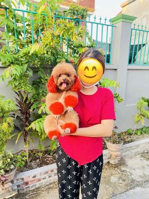 Bé gái xinh xắn đáng yêu chuẩn bị salơ