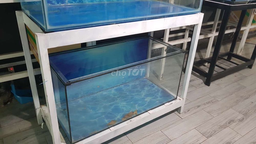 Cần bán hồ cá cũ 1m2, đẹp, chất lượng