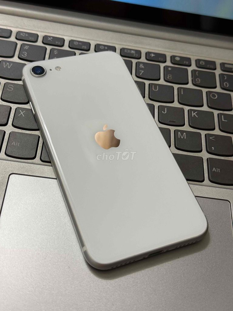 Apple iPhone SE 2020 quốc tế 128GB zin. Mua bán Điện thoại tại Quận Bình Tân Tp Hồ Chí Minh được đăng bởi PK UY TÍN hình 1