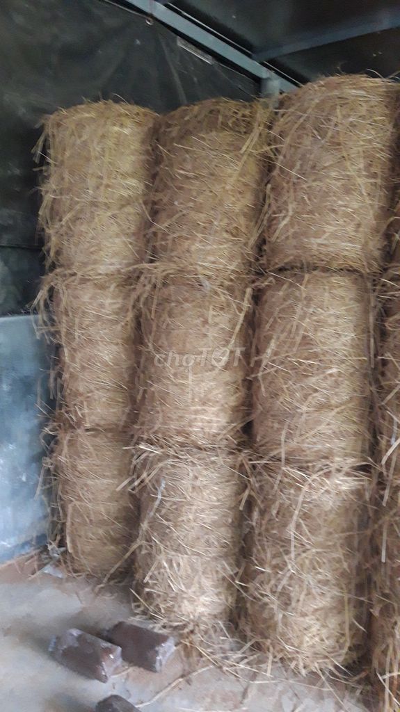 Rơm cuộn Rơm. Mua bán Đồ chuyên dụng, Giống nuôi trồng tại Thị xã Hương Trà Thừa Thiên Huế được đăng bởi Hai Cao hình 1