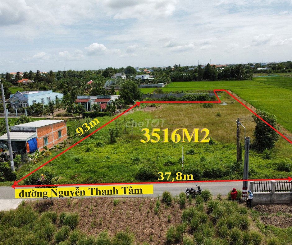 Bán 3516m2 đất thị trấn Cần Giuộc, mặt tiền đường nhựa, QL50 vào 700m.