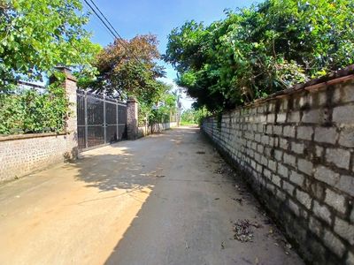 Plot of land 1200 m² · Đường Tuyến nối Đại lộ Thăng Long với cao tốc Hòa Lạc - Hòa Bình
