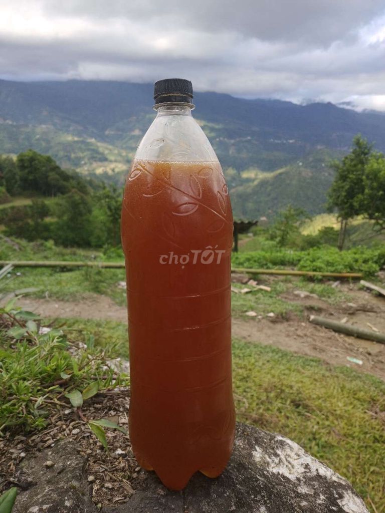 Mật ong nguyên chất Vùng cao 1.5L. Mua bán Đồ ăn, thực phẩm và các loại khác tại Huyện Hoàng Su Phì Hà Giang được đăng bởi Trieu Tô hình 1