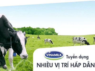 Vinamilk - Tuyển NV Hỗ Trợ Cửa Hàng