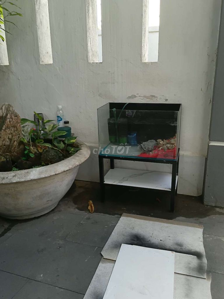 Bể cá cảnh Kính 50x30x25 cm. Mua bán Phụ kiện, Thức ăn, Dịch vụ tại Quận Thanh Khê Đà Nẵng được đăng bởi Anh Duy Lê hình 1