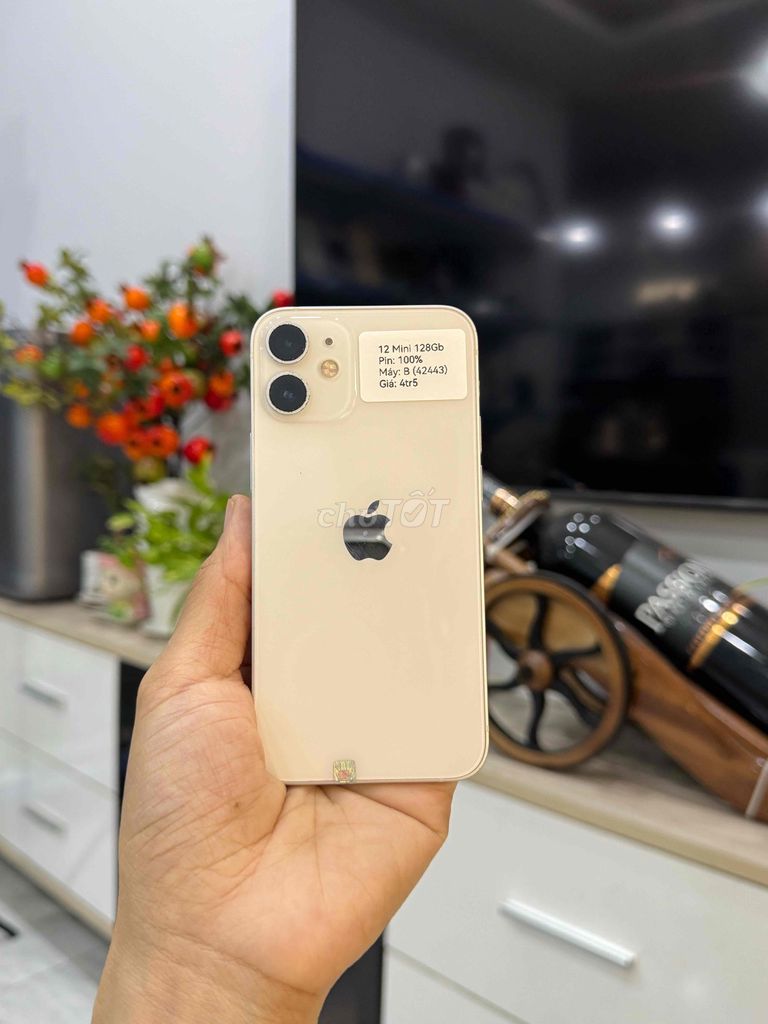 Apple iPhone 12 Mini 128GB Trắng. Mua bán Điện thoại tại Huyện Hóc Môn Tp Hồ Chí Minh được đăng bởi Thu hình 1