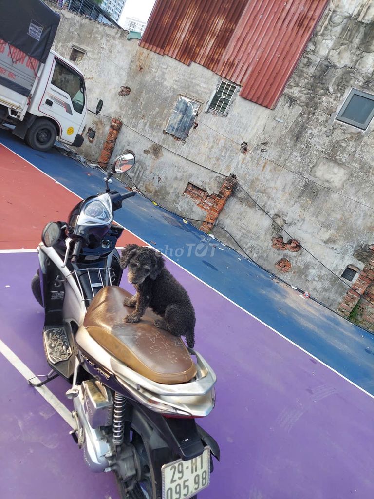 Bán xe Honda Airblade mầu đen chính chủ còn tốt. Mua bán Xe máy tại Quận Hai Bà Trưng Hà Nội được đăng bởi Xúy hình 4