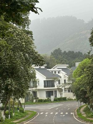 Cần bán Biệt thự song lập Xanh Villas