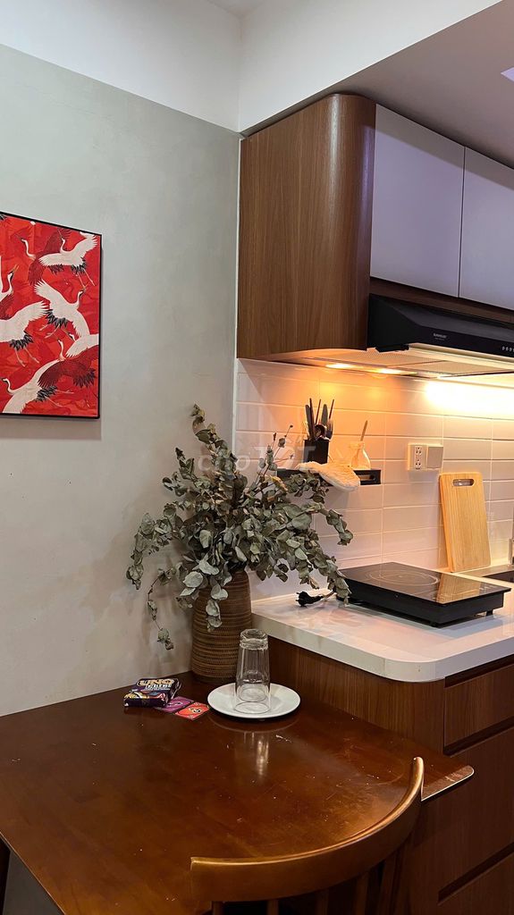 Bright new studio in the quiet Nam Việt Á area — photo 9