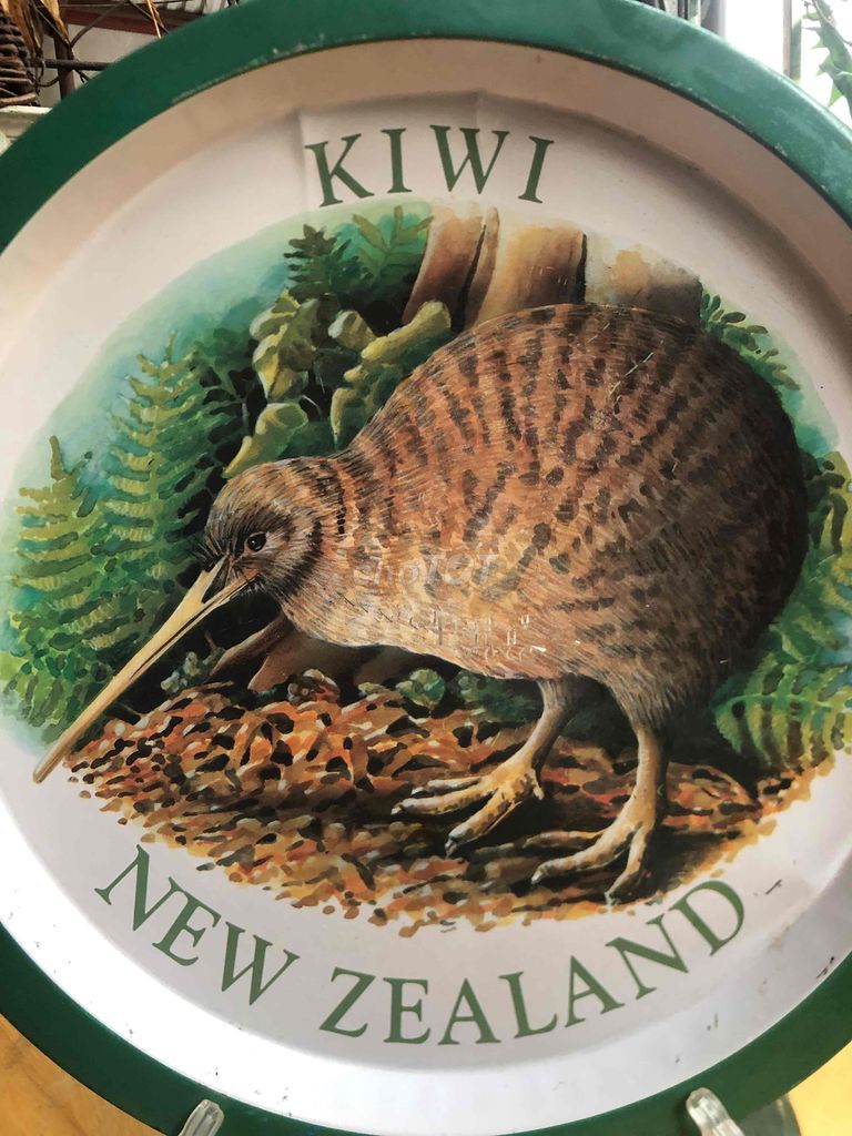 Khay sắt tây Kiwi, Newzealand, tình trạng như hình
