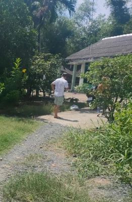 Nhà vườn đất thổ cư 34m x 35m ấp Rừng Dầu, xã Mỹ Hạnh Bắc