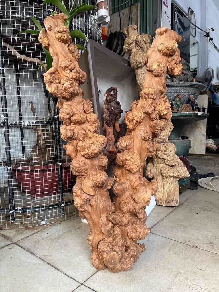 Nu cafe dùng trang trí quán hoặc làm chân bàn