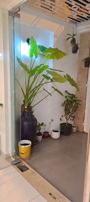 👋👋👋CHO THUÊ MẶT BẰNG TRỆT - 50M2 