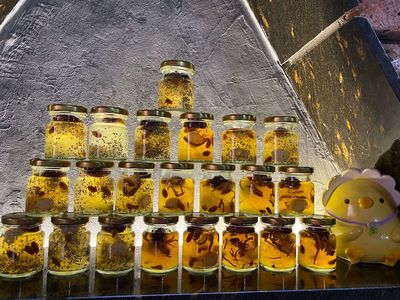 YẾN TƯƠI CHƯNG HŨ mua 5 tặng 1. Mua bán Đồ ăn, thực phẩm và các loại khác tại Huyện Bình Chánh Tp Hồ Chí Minh được đăng bởi HỒNG ÂN YẾN