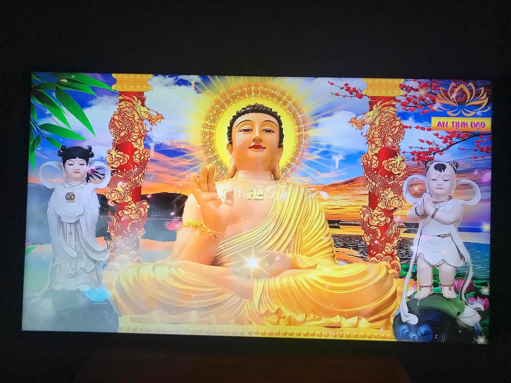 Tivi LG 65 inch 4K. Mua bán Tivi, Âm thanh tại Huyện Đất Đỏ Bà Rịa - Vũng Tàu được đăng bởi Thiện Lành hình 1