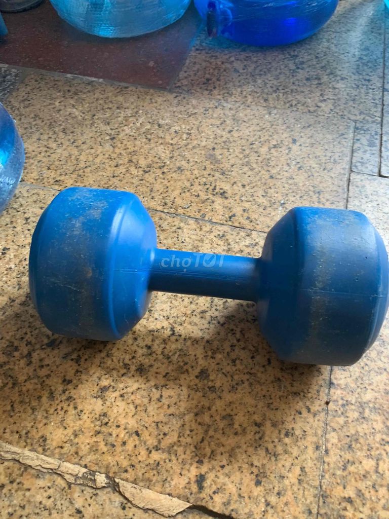 Tạ tập gym 5kg Xanh Nhựa. Mua bán Đồ thể thao, Dã ngoại tại Quận 12 Tp Hồ Chí Minh được đăng bởi Gia huy hình 1