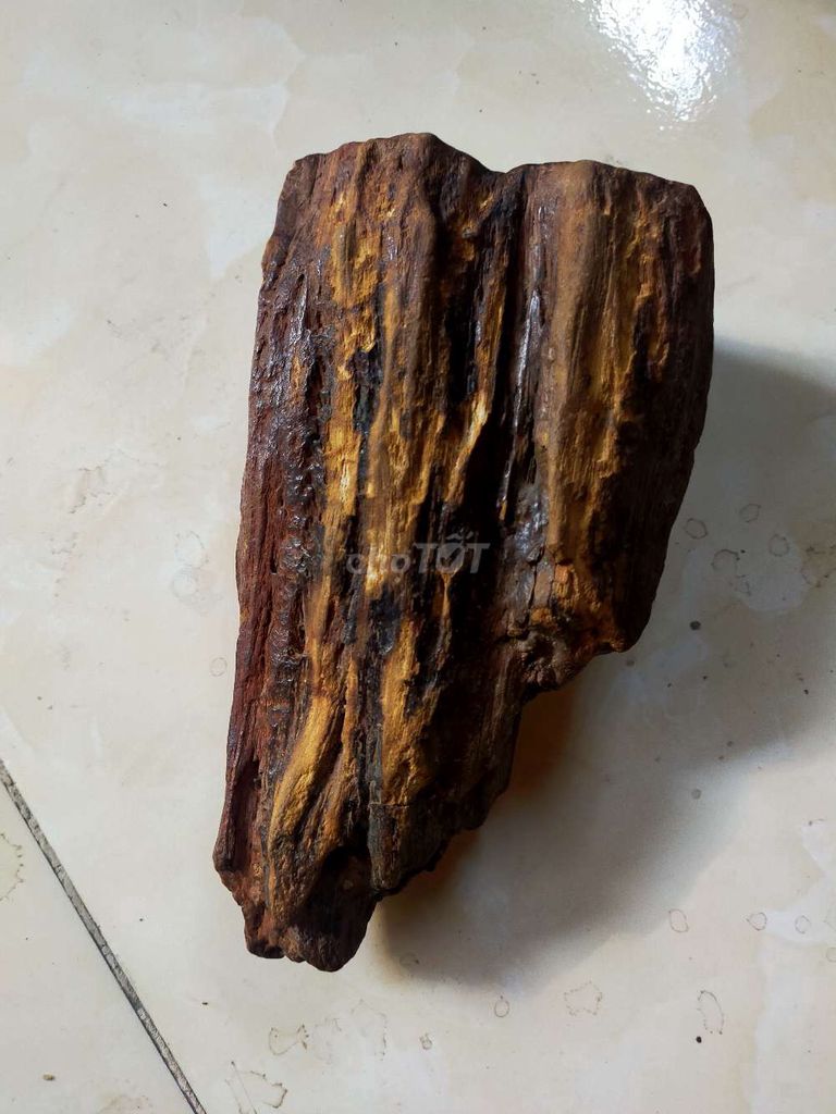 Gỗ hóa thạch phong thủy 25cm 2kg. Mua bán Đồ sưu tầm, đồ cổ tại Huyện Củ Chi Tp Hồ Chí Minh được đăng bởi Họ Dương hình 1