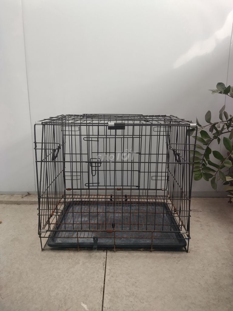 Lồng thú cưng Thép sơn tĩnh điện Vân đá 60x55x50cm. Mua bán Phụ kiện, Thức ăn, Dịch vụ tại Quận Hoàng Mai Hà Nội được đăng bởi Gi hình 1