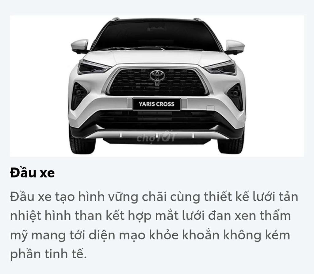 Ảnh số 5