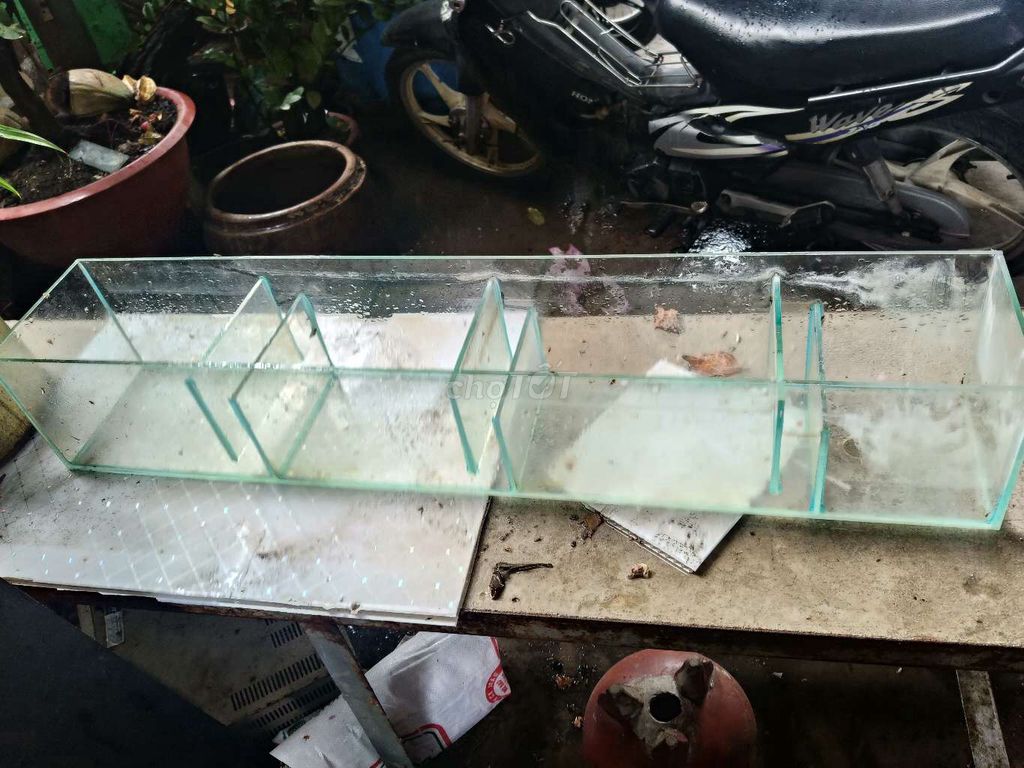 Bể cá kính 95cm. Mua bán Phụ kiện, Thức ăn, Dịch vụ tại Huyện Hóc Môn Tp Hồ Chí Minh được đăng bởi nguyễn quốc hội hình 1